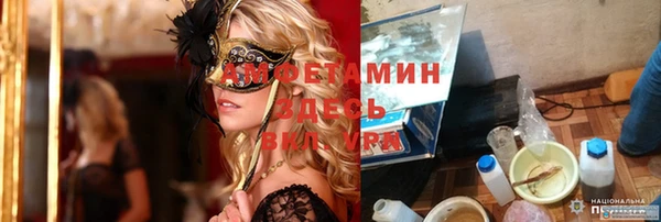 амф Вяземский