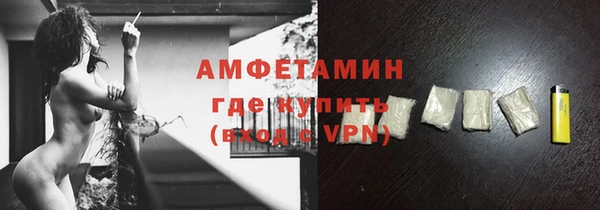 амф Вяземский