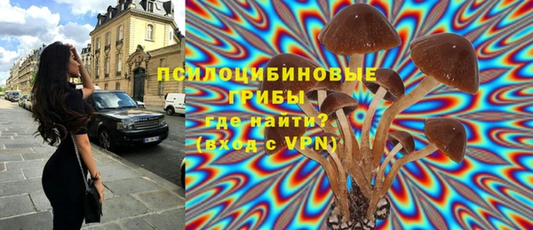 крисы Вязники