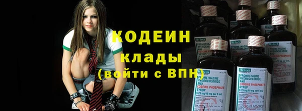 амф Вяземский