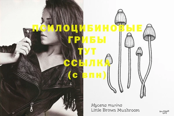 крисы Вязники