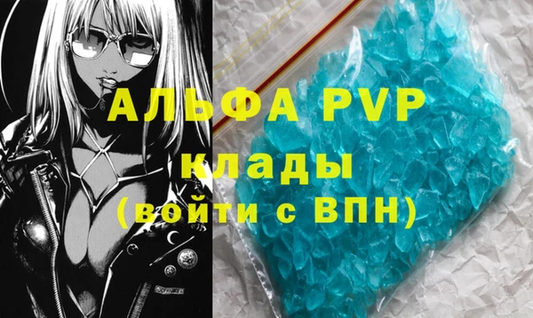 амф Вяземский