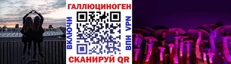 Галлюциногенные грибы Cubensis  Купить где  Нея 